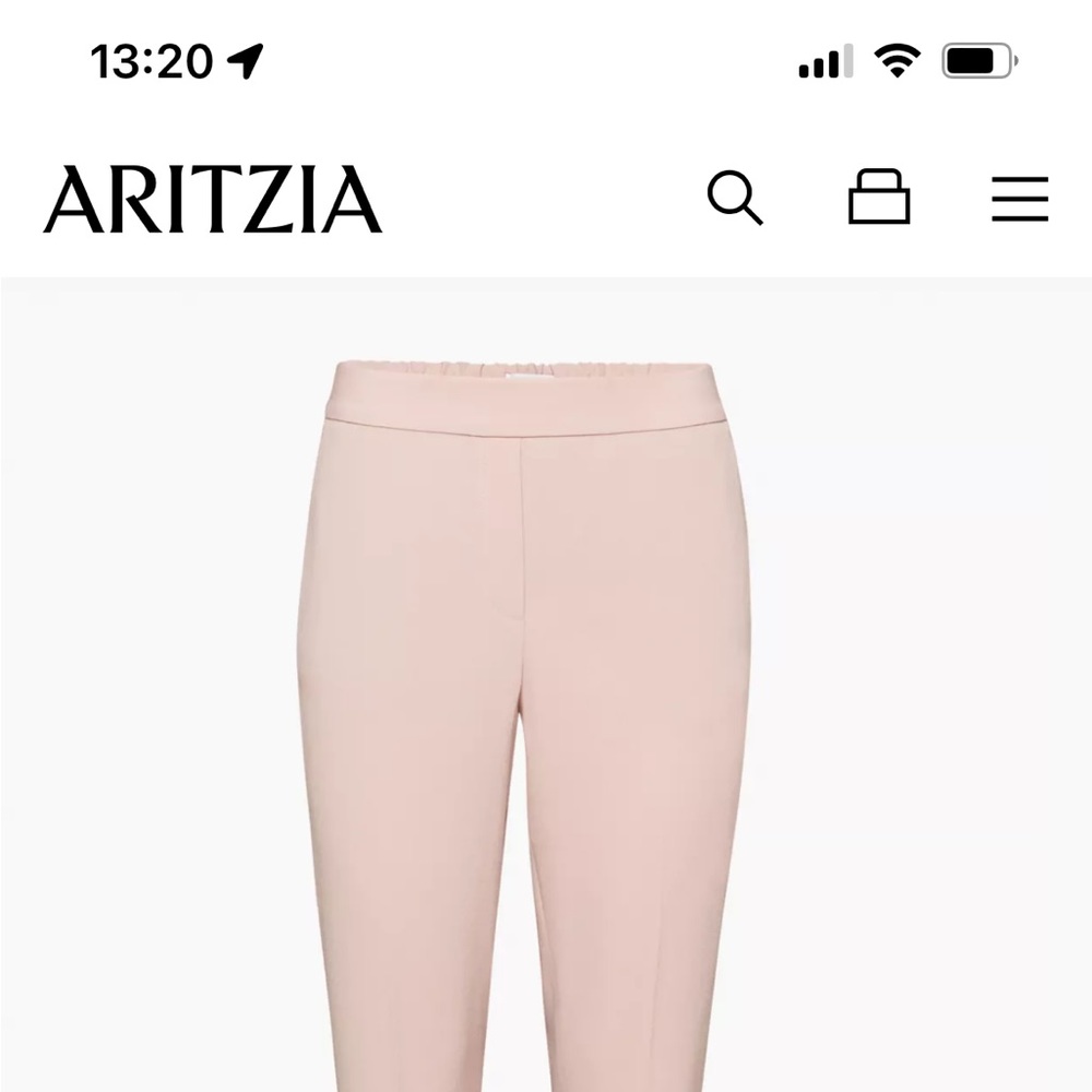 NWOT Aritzia Conan pant